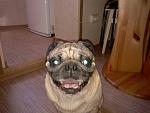     
: 2013-07-16-0309.jpg
: 30
:	170.4 
ID:	6524049