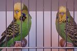     
: DSC03510.jpg
: 21
:	82.9 
ID:	6532923