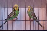     
: DSC03507.jpg
: 30
:	80.2 
ID:	6532930