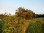     
: IMG_20130708_204128.jpg
: 66
:	212.6 
ID:	6533525
