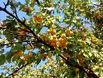     
: IMG_20130708_102606.jpg
: 51
:	279.0 
ID:	6533528