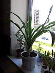     
: 20130719_092316.jpg
: 5
:	86.3 
ID:	6535196