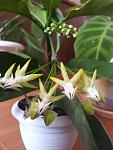     
: 20130719_091908.jpg
: 5
:	74.2 
ID:	6535207