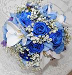     
: DSC_0587.jpg
: 7
:	136.6 
ID:	6536473