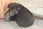     
: IMG_4791.jpg
: 9
:	127.4 
ID:	6536565