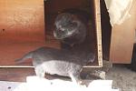     
: IMG_4801.jpg
: 13
:	82.6 
ID:	6536566