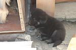     
: IMG_4806.jpg
: 9
:	84.2 
ID:	6536586