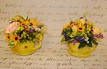     
: DSC_0575.jpg
: 9
:	122.9 
ID:	6536646