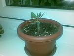     
: 220520131661.jpg
: 9
:	90.3 
ID:	6538109