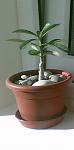     
: Image 2.jpg
: 7
:	26.5 
ID:	6538110