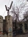     
: 1.jpg
: 37
:	130.6 
ID:	6538354