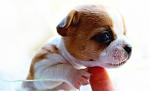     
: IMG_5855.jpg
: 3
:	63.2 
ID:	6539319