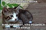     
: PSaKVoWS5ss.jpg
: 17
:	68.1 
ID:	6545042