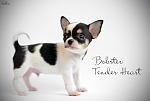     
: DSC_0165.jpg
: 4
:	175.8 
ID:	6545551
