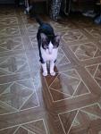     
: Встреча с Барси&#1.jpg
: 24
:	63.7 
ID:	6545762