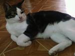     
: Фото-0596.jpg
: 17
:	40.1 
ID:	6545764