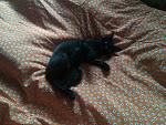     
: IMAG0104.jpg
: 11
:	216.0 
ID:	6545850