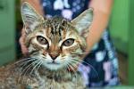     
: DSC_0183.jpg
: 3
:	57.5 
ID:	6546690