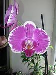     
: 20130721_134617.jpg
: 4
:	81.6 
ID:	6547051