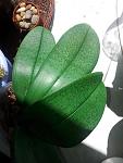     
: 20130721_134713.jpg
: 6
:	90.0 
ID:	6547053