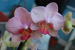     
: DSC_1198.jpg
: 7
:	84.3 
ID:	6553219
