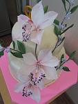     
: IMG_4064.jpg
: 6
:	60.5 
ID:	6556160