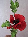     
: IMG_4003.jpg
: 7
:	77.4 
ID:	6556166