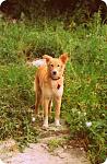     
: DSC_0186.JPG
: 1
:	64.3 
ID:	6556743