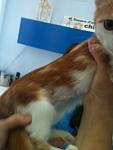     
: фотография1.jpg
: 6
:	51.5 
ID:	6557433