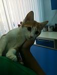     
: фотография5.jpg
: 6
:	50.1 
ID:	6557445