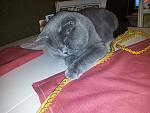     
: 2013-07-23 22.14.57.jpg
: 19
:	189.5 
ID:	6557808