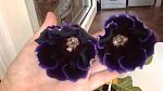     
: 2013-07-20-0253.jpg
: 8
:	68.0 
ID:	6558883