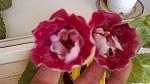     
: 2013-07-20-0255.jpg
: 11
:	66.5 
ID:	6558884