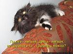     
: dlyakota.ru_kotiotkotomatrici_1322936357921.jpeg
: 11
:	76.0 
ID:	6559274