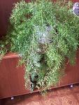     
: 20130724_141100.jpg
: 20
:	186.9 
ID:	6561153