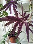     
: 20130724_124547.jpg
: 13
:	112.1 
ID:	6561172