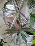     
: 20130724_124523.jpg
: 9
:	134.7 
ID:	6561179