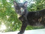     
: котики 045.JPG
: 13
:	90.6 
ID:	6563374