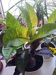     
: 20120724_113729.jpg
: 45
:	103.9 
ID:	6565286