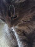     
: 19072013956.jpg
: 4
:	81.2 
ID:	6567149