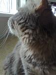     
: 19072013957.jpg
: 7
:	77.2 
ID:	6567152