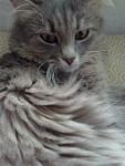     
: 19072013958.jpg
: 8
:	80.5 
ID:	6567156