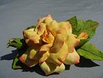     
: DSCN1645.jpg
: 8
:	101.5 
ID:	6567210