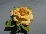    
: DSCN1647.jpg
: 6
:	121.7 
ID:	6567211