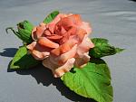     
: DSCN1650.jpg
: 7
:	147.5 
ID:	6567223