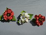     
: DSCN1631.jpg
: 6
:	185.5 
ID:	6567301
