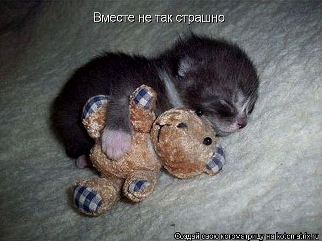     
: 0b0b03639102d4aca510c383566f4ede.jpg
: 2
:	116.2 
ID:	6569175