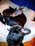     
: Фото275.jpg
: 22
:	247.7 
ID:	6570908