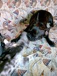     
: Фото288.jpg
: 15
:	229.3 
ID:	6570911
