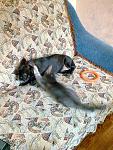     
: Фото286.jpg
: 25
:	271.1 
ID:	6570912